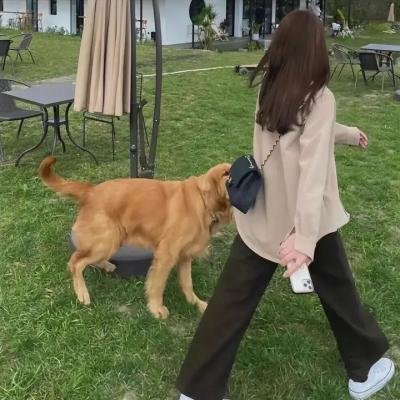 陆王